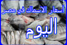 أسعار الاسماك اليوم