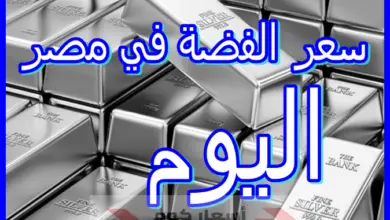 سعر الفضة في مصر اليوم