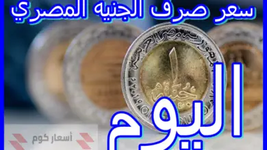 سعر صرف الجنيه المصري اليوم