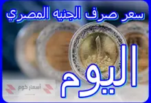 سعر صرف الجنيه المصري اليوم