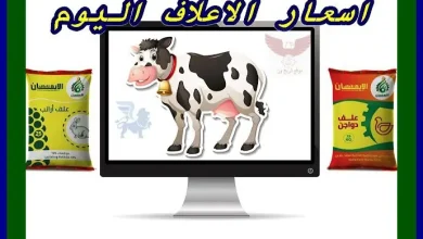  سعر طن علف الإيمان اليوم