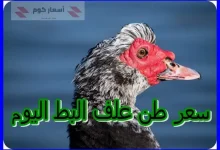 سعر علف البط اليوم