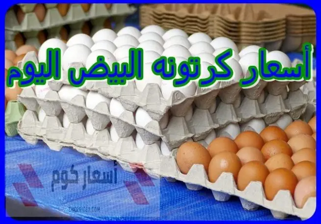 أسعار كرتونة البيض اليوم في مصر – بيض أبيض وأحمر وبلدي
