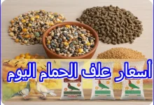 أسعار علف الحمام اليوم