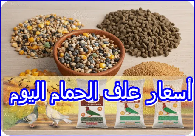 أسعار علف الحمام اليوم