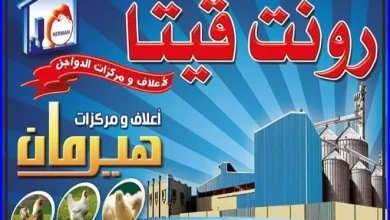أسعار علف هيرمان اليوم الإثنين 16-03-2026 18 أسعار علف هيرمان اليوم