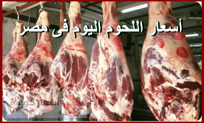 أسعار اللحمة اليوم في مصر