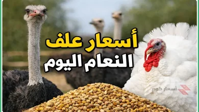 أسعار علف النعام اليوم