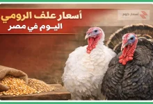 أسعار علف الرومي اليوم