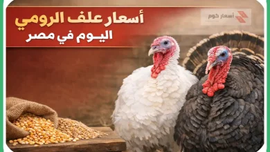 أسعار علف الرومي اليوم